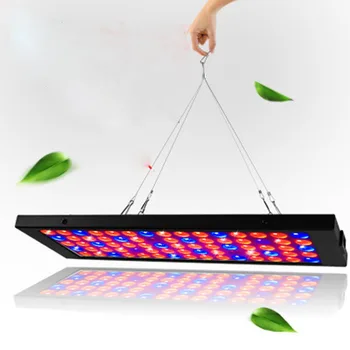 100W Taimede Kasvu LED-Full-spectrum Värvimine Taimede Täida Valguses Mahlakad Hüdropooniline Valgustus Taim Valgust