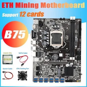 B75 ETH Kaevandaja Emaplaadi 12 PCIE, Et USB3.0+G1620 CPU+Jahutuse Ventilaator+Lüliti Kaabel+SATA Kaabel MSATA DDR3 LGA1155 Emaplaadi