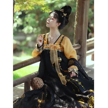ChongHuiHanTang Originaal Tang Dünastia Hanfu Naiste Kleit-Hiina Stiilis V Kaela Pruunistavate Hanfu Kleit Printsess Etapp Tantsu Kostüümid