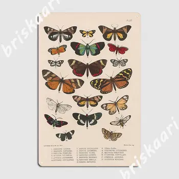Liblikad Lepidoptera Exotica Metallist Tahvel Plakat Laigud Club Bar Disain Seinast, Seinamaal Tina Märk Plakat