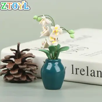Nukumaja Roheline Taim Valge Phalaenopsis Simulatsiooni Kapseldatud Taim Premium Nukumaja Flower Arrangement