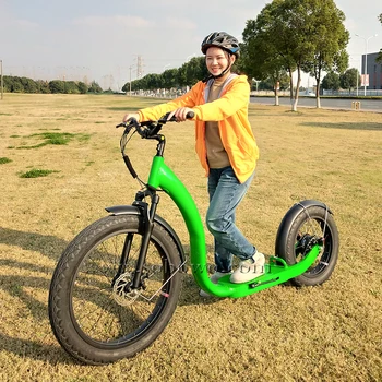 Sobowo Brändi Elektrilised Bike 750W Bafang Suur Võimsus Rasva Rehvi Elektrilised Kick-Bike