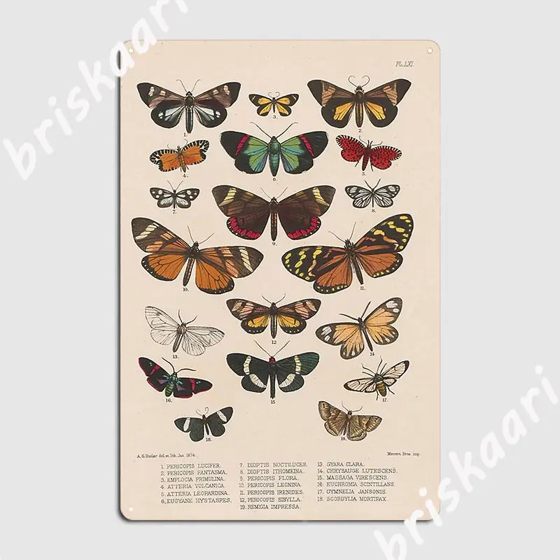 Liblikad Lepidoptera Exotica Metallist Tahvel Plakat Laigud Club Bar Disain Seinast, Seinamaal Tina Märk Plakat 0