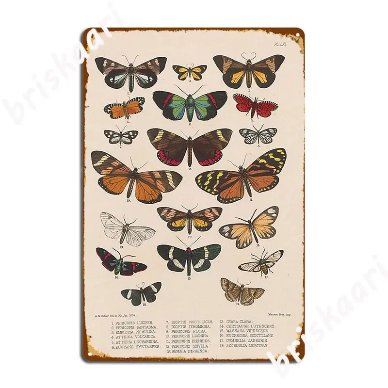 Liblikad Lepidoptera Exotica Metallist Tahvel Plakat Laigud Club Bar Disain Seinast, Seinamaal Tina Märk Plakat 1