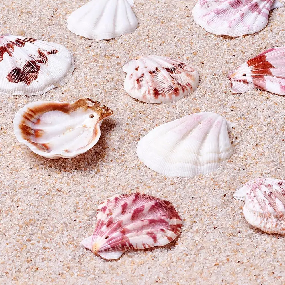 Looduslik Kammkarp Shell Helmed Sea Shell Helmed Ehete Tegemise DIY Bracelets Kõrvarõngas Kaelakeed Kuldkollane Suurus: umbes 90pcs/500g 2
