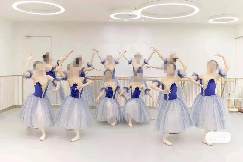2022 Uus Romantiline Ballet Tutu Kleit tiivad Ballerina Kleit giselle Naiste Valge Haldjas Professionaalne Ballett Pikk Tutu Tiivad 4
